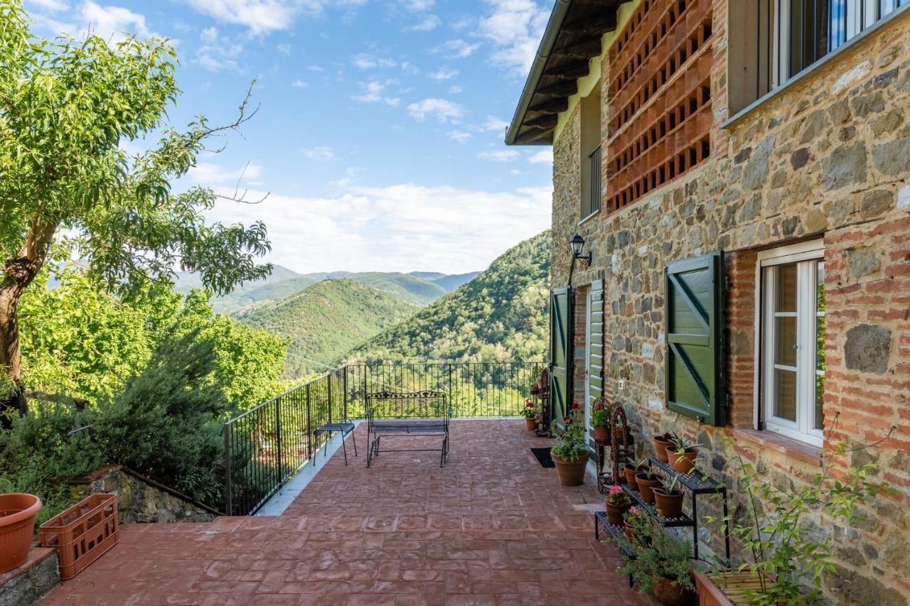 Abbacca-la 3 Holiday home Lucca